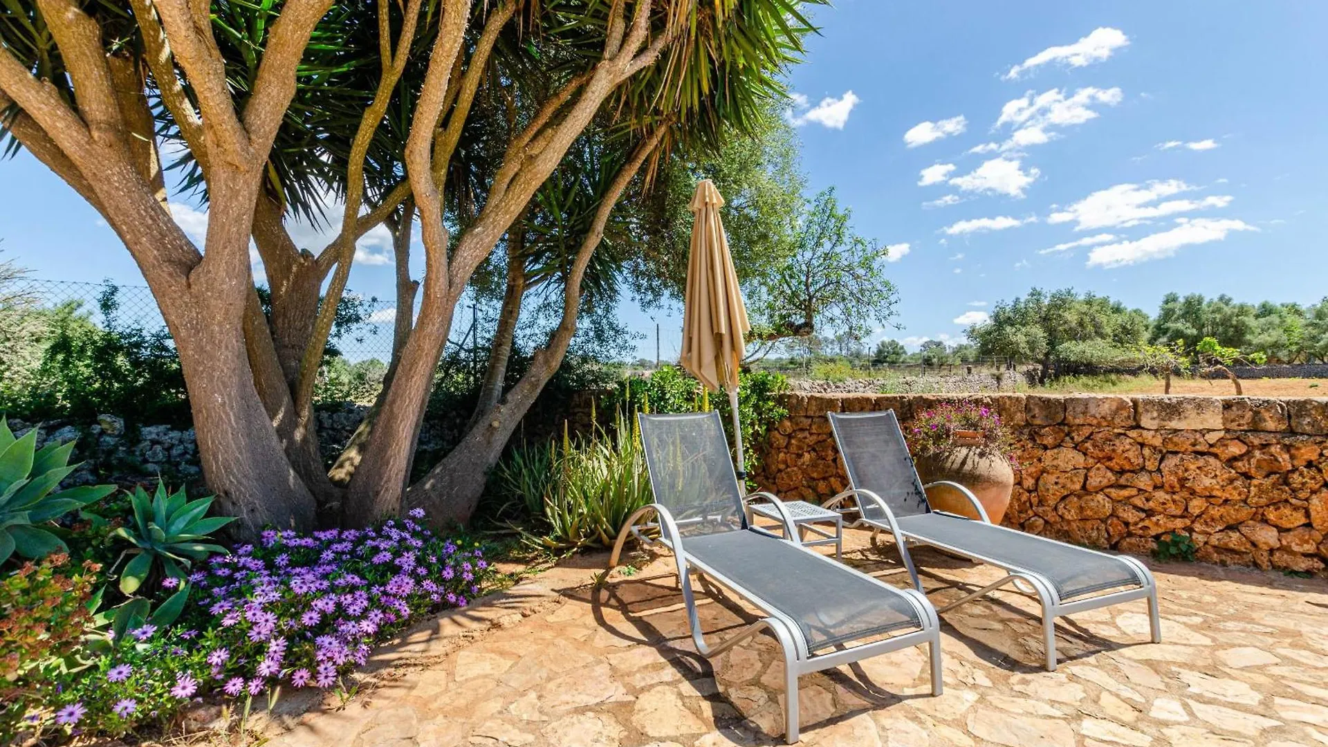 شقة Yourhouse Agroturismo Can Porreti La Figuera للوريت دى فيستا أليجر إسبانيا