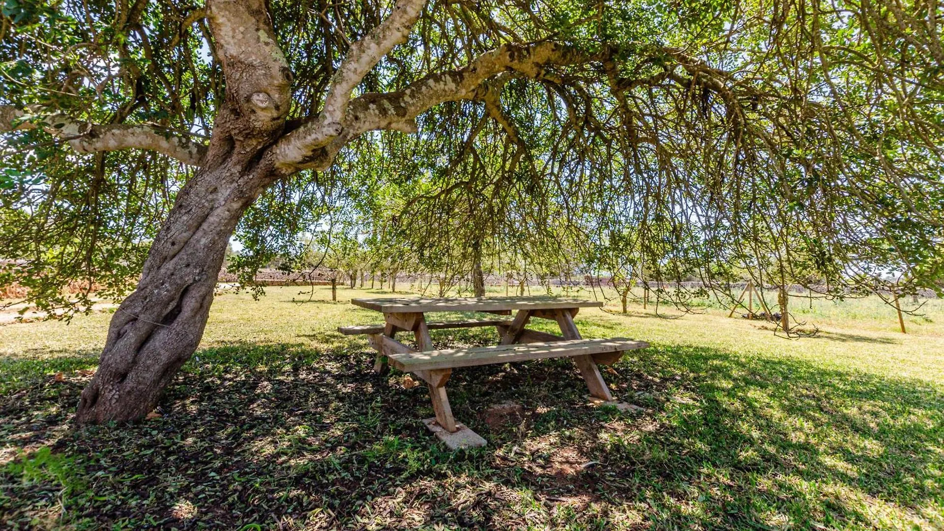 Yourhouse Agroturismo Can Porreti La Figuera 洛雷特-德维斯塔莱格 公寓